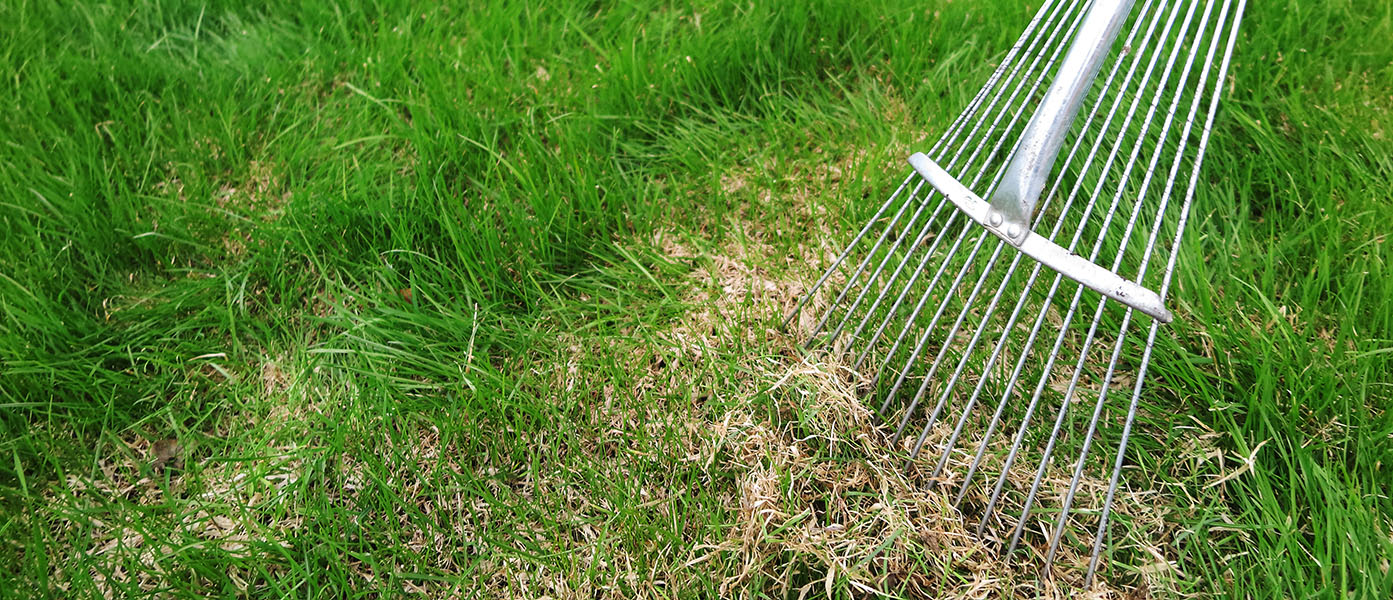 Power deals raking lawn